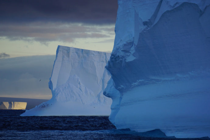 Antarctica with Joanna Young